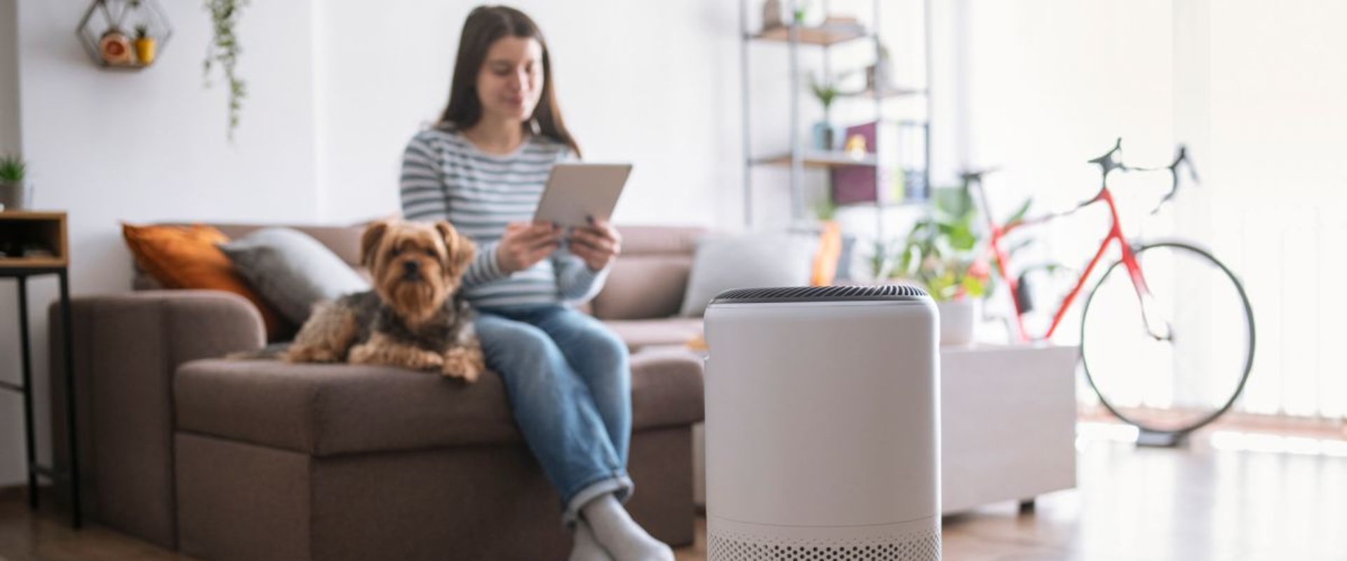 The Best Air Purifiers for Allergy Sufferers