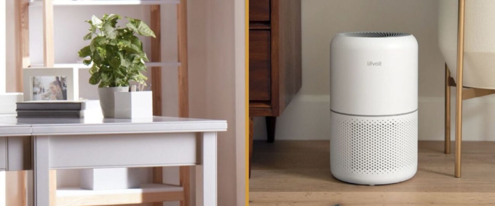 The Best Budget Air Purifier A Comprehensive Guide