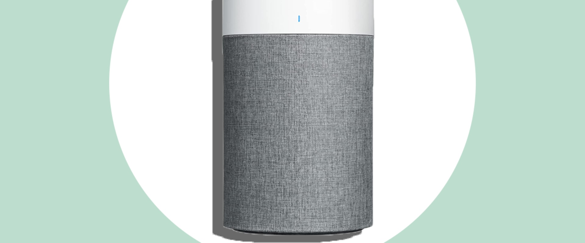 What Air Purifier Do Allergists for Clean Air?