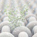 Which Air Filter Captures the Most Particles?