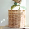 Are Air Purifiers Harmful to Your Health?