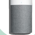 What air purifier do allergists recommend?
