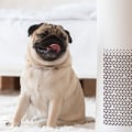What Type of Air Filters Capture and Trap the Most Particles for Cleaner Air?