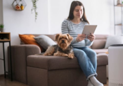 The Best Air Purifiers for Allergy Sufferers