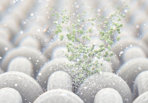 Which Air Filter Captures the Most Particles?