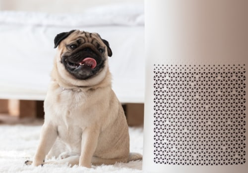 What type of air filters capture and trap the most particles leaving the air cleaner?
